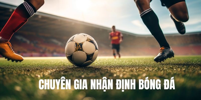 Tại sao cần theo dõi chuyên gia nhận định bóng đá?