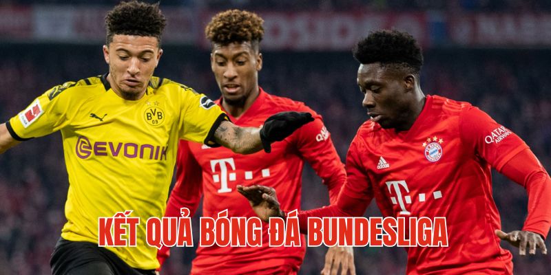 Tìm hiểu về kết quả bóng đá Bundesliga