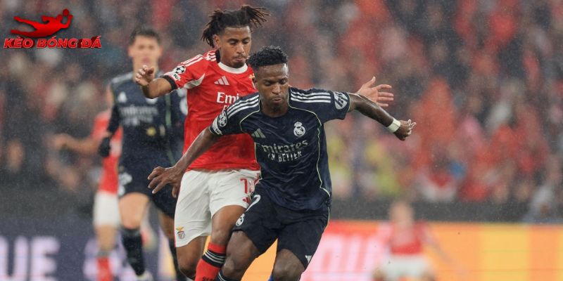 Benfica vs Real Madrid hứa hẹn sẽ vô cùng hấp dẫn