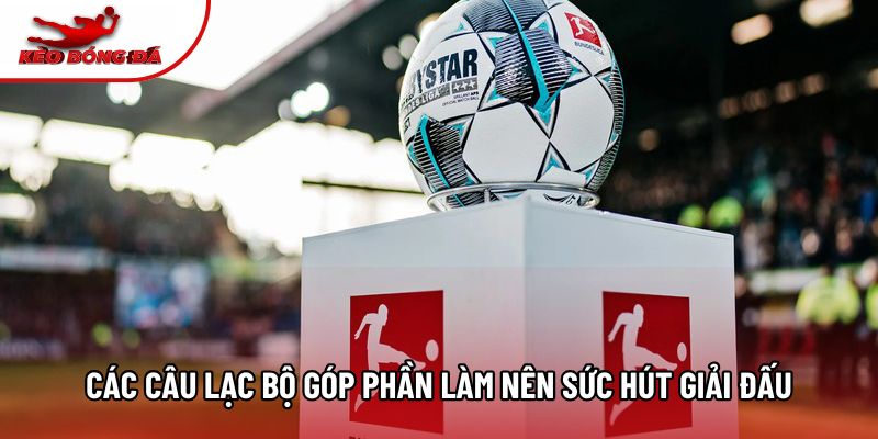 Các câu lạc bộ góp phần làm nên sức hút giải đấu