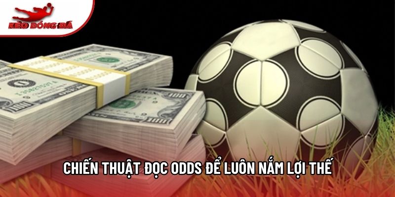 Chiến thuật đọc Odds để luôn nắm lợi thế