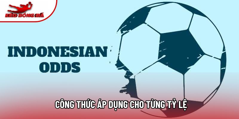 Công thức áp dụng cho từng tỷ lệ