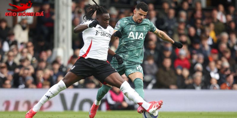 Fulham vs Tottenham có những toan tính khác biệt