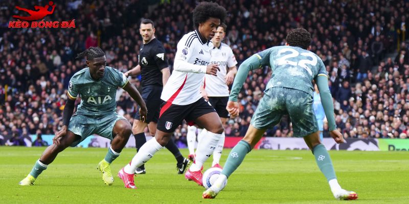 Lịch sử đối đầu cân bằng giữa Fulham vs Tottenham