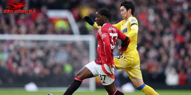 Lịch sử đối đầu cân bằng giữa Man Utd vs Crystal Palace
