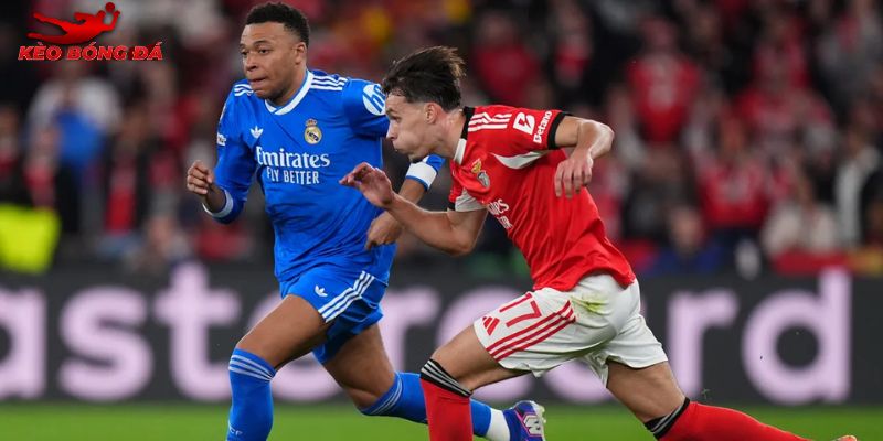Lịch sử đối đầu cân bằng giữa Real Madrid vs Benfica