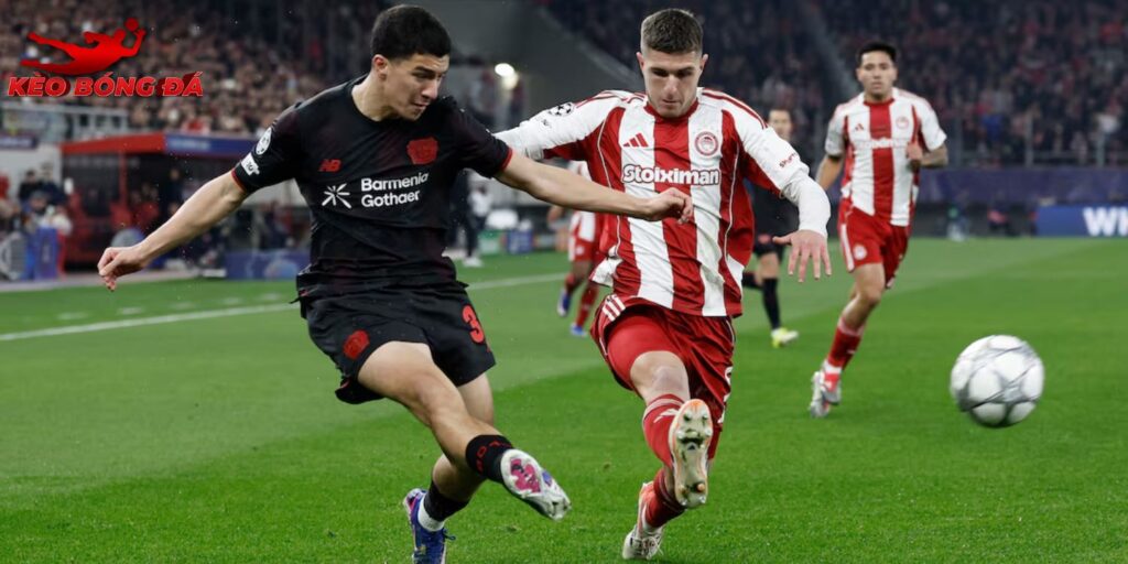 Olympiakos vs Bayer Leverkusen có thể xảy ra bất ngờ tiếp theo