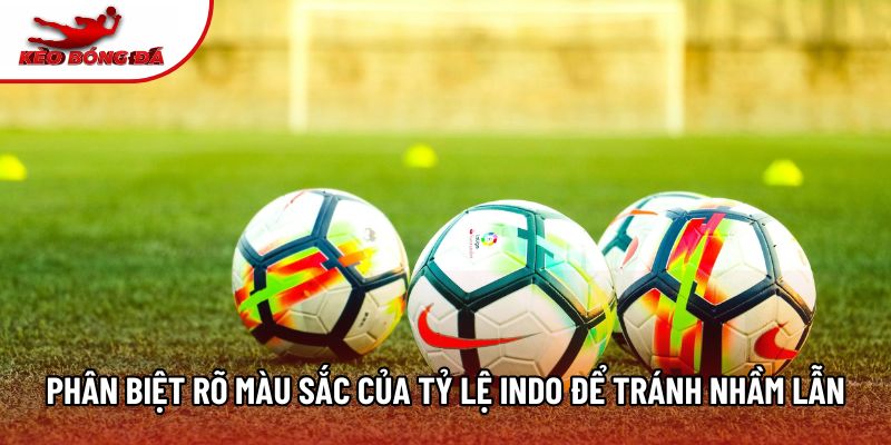 Phân biệt rõ màu sắc của tỷ lệ indo để tránh nhầm lẫn