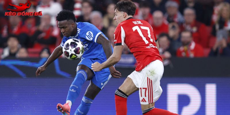 Real Madrid vs Benfica vẫn sẽ cống hiến những phút thi đấu căng thẳng