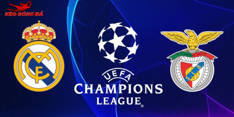 Soi Kèo Real Madrid Vs Benfica, 3h 26/02 - Champions League