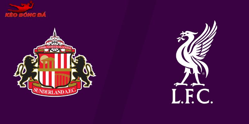 Soi Kèo Sunderland vs Liverpool, 03h15 12/2 - Ngoại hạng Anh