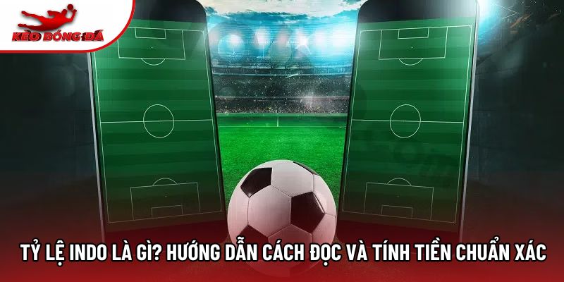 Tỷ Lệ Indo Là Gì? Hướng Dẫn Cách Đọc Và Tính Tiền Chuẩn Xác