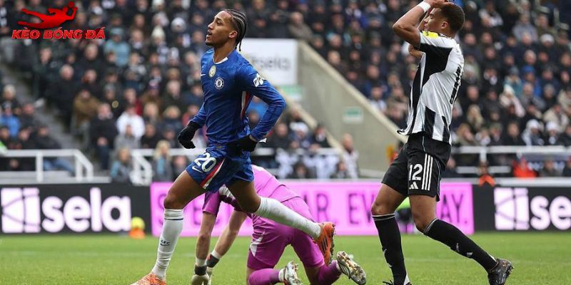 Phân tích phong độ thi đấu Chelsea vs Newcastle