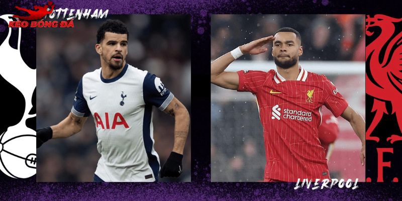 Phong độ thi đấu trái ngược của Liverpool vs Tottenham