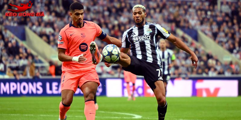 Newcastle vs Barcelona đều thi đấu khá tốt lúc này