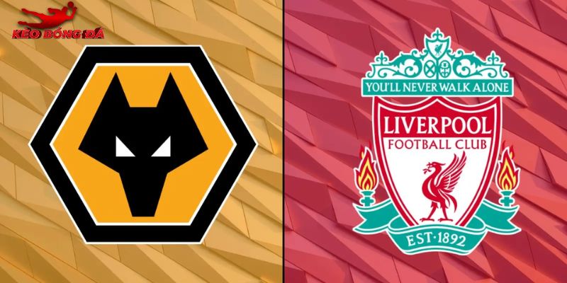 Soi Kèo Wolves Vs Liverpool, 3h45 Ngày 4/03 - Ngoại Hạng Anh